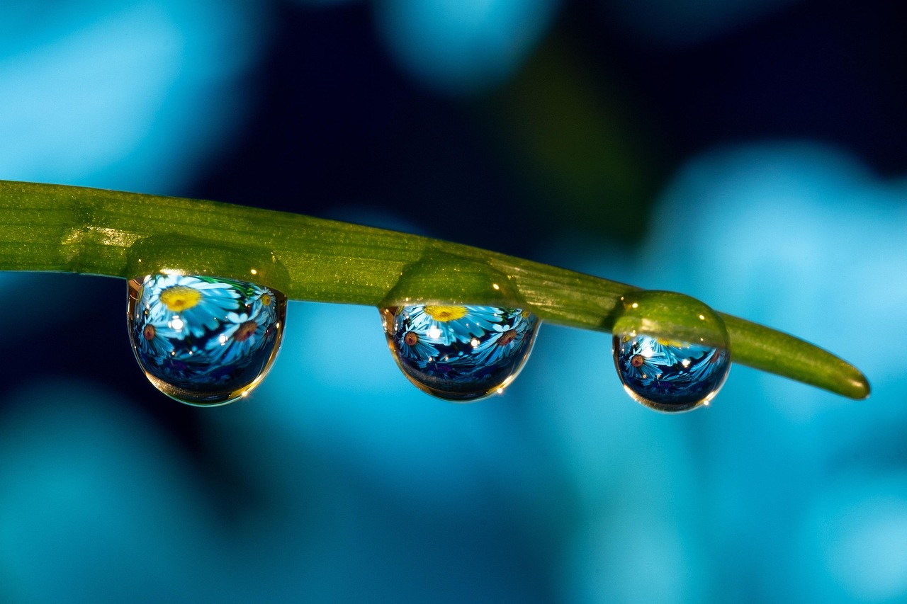 DDOS攻击教程|如何防范黑客利用数字签名进行攻击