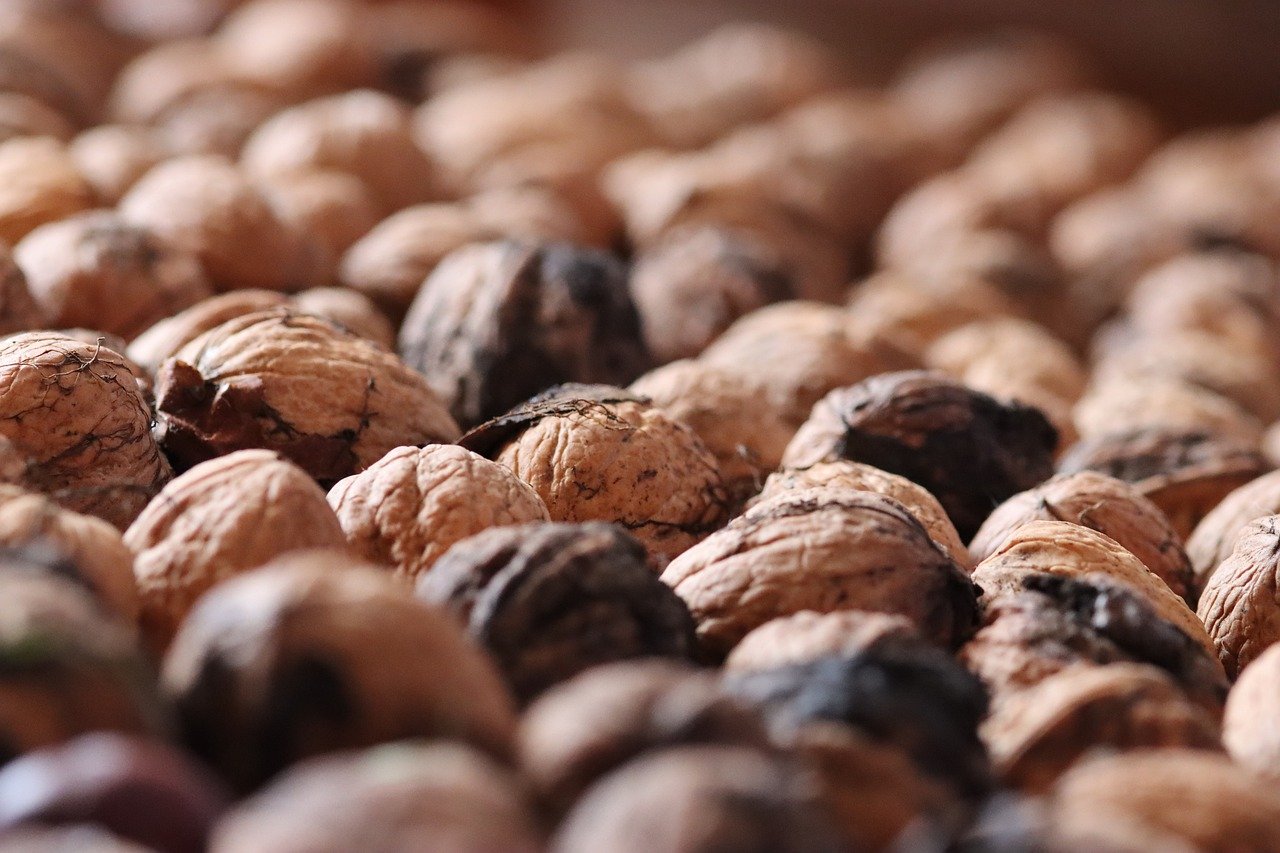 大众娱乐，注册|股票平台网上开户