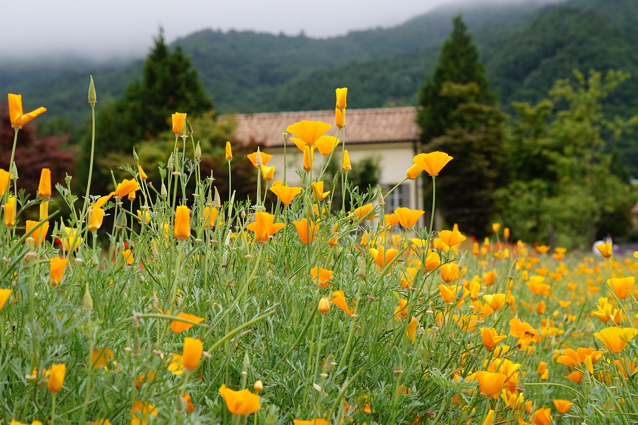 “短信聊天中的管理和备份”