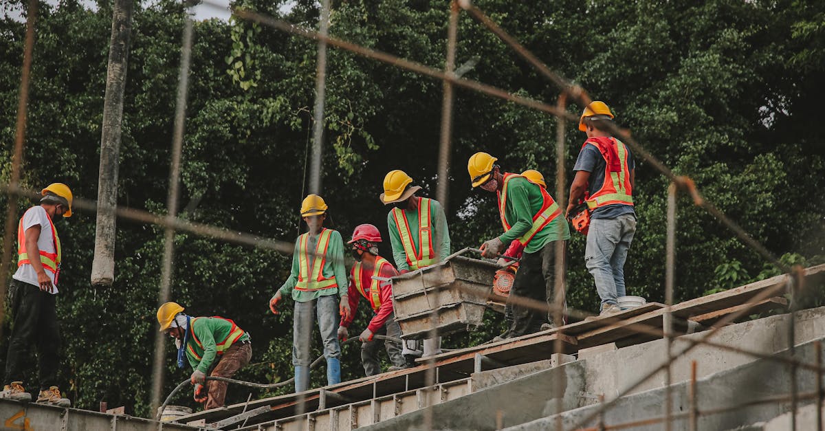 百将录：菠萝蜜app详情下载教程 app