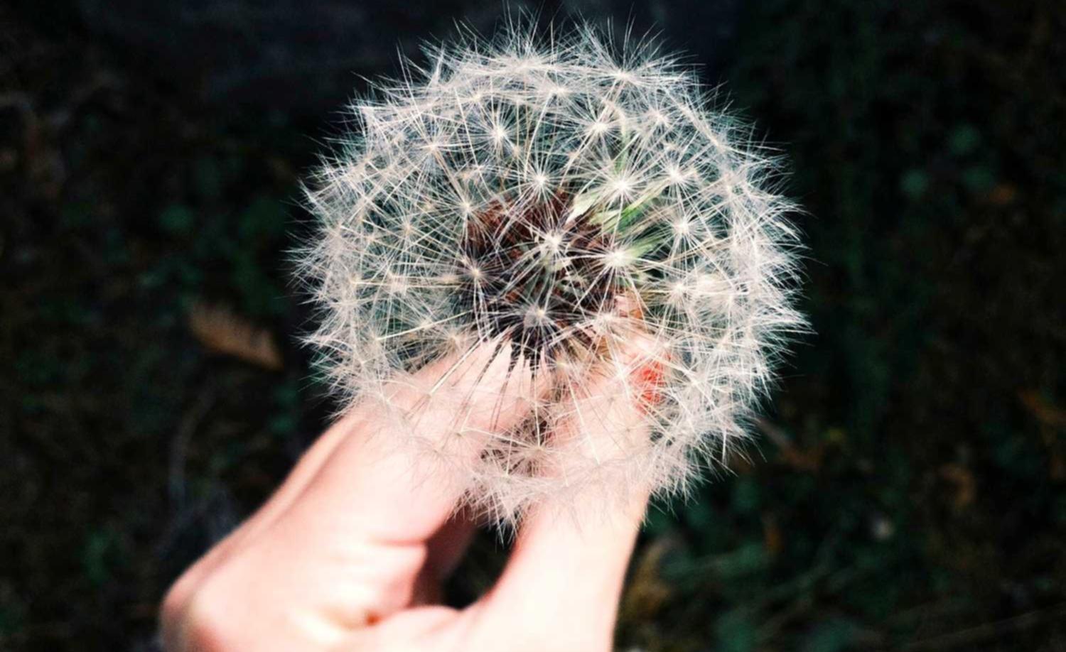 香烟对于呼吸系统的影响