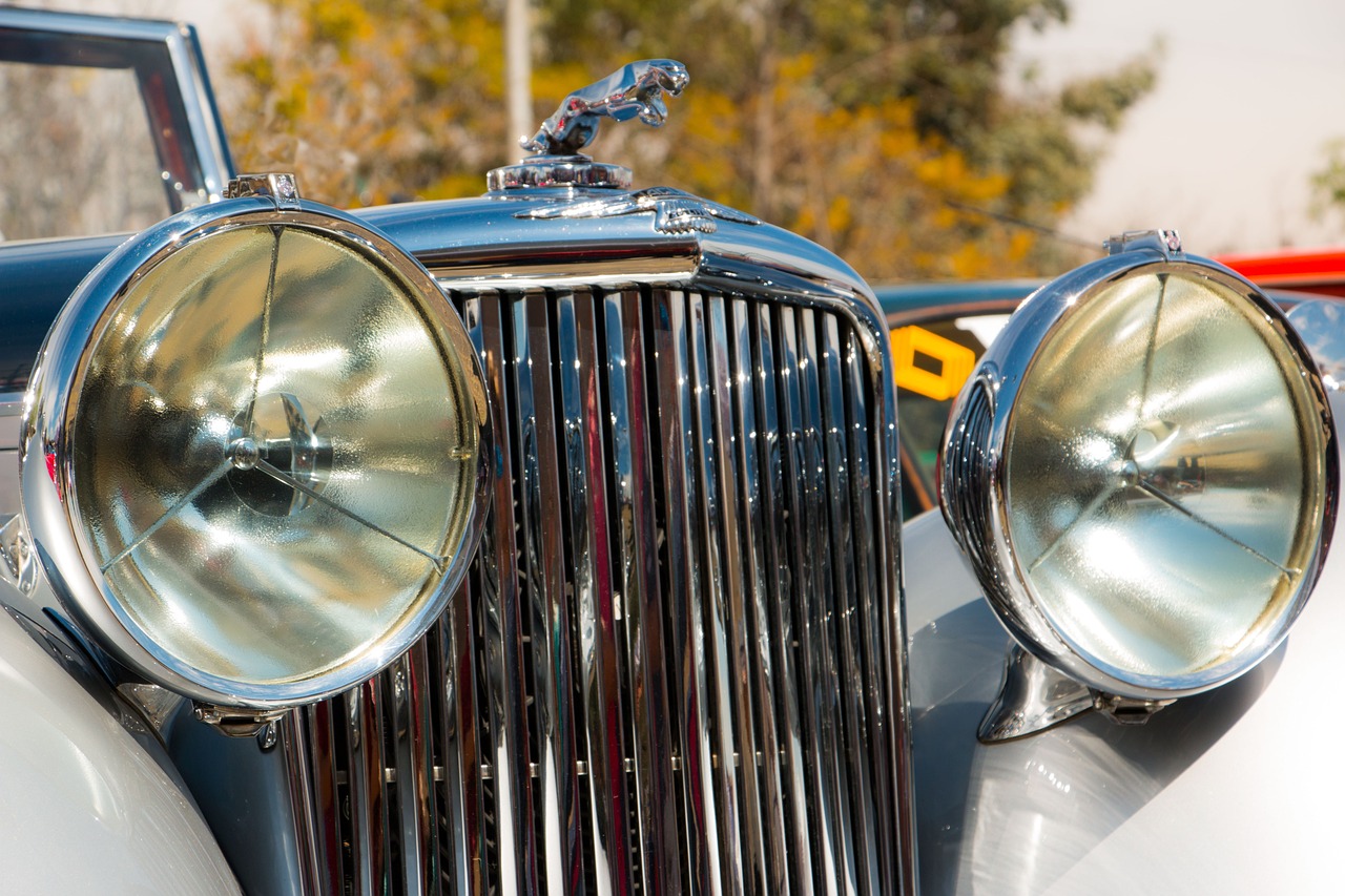 铁塔猫红酒爆珠（粗）：评书网app详情下载教程