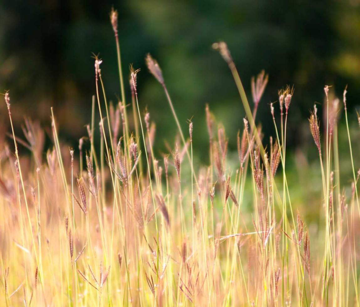 天谕手游：传奇世界手游平台代理价格